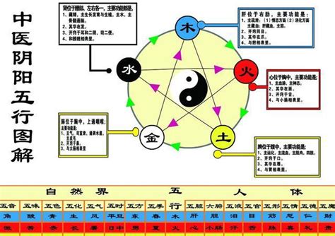 金融五行属什么|金融行业五行属什么(五行属什么的人适合炒股)